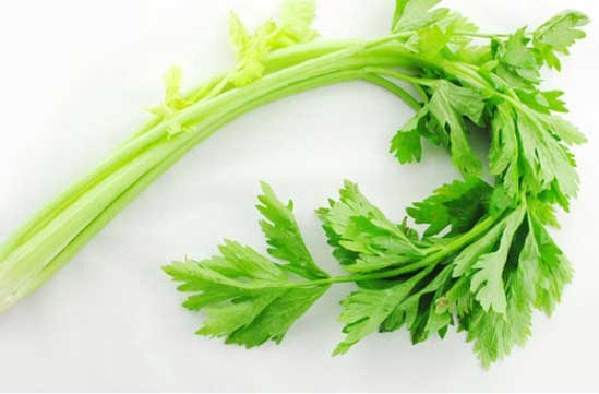 热衷保健的朋友注意：能降血压的芹菜与这些食物同吃会中毒！