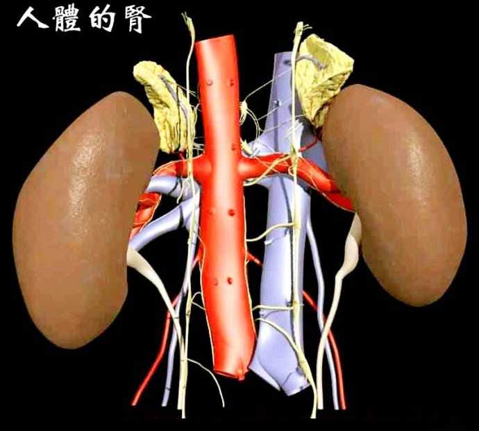 肾炎慎用家传骨方特效药酒治疗腰颈椎间盘突出和骨质增生